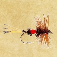 Royal Coachman Fly